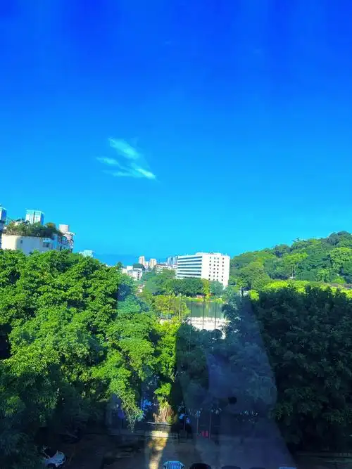 雨后天空清澈明亮心情美美哒猫宁跳