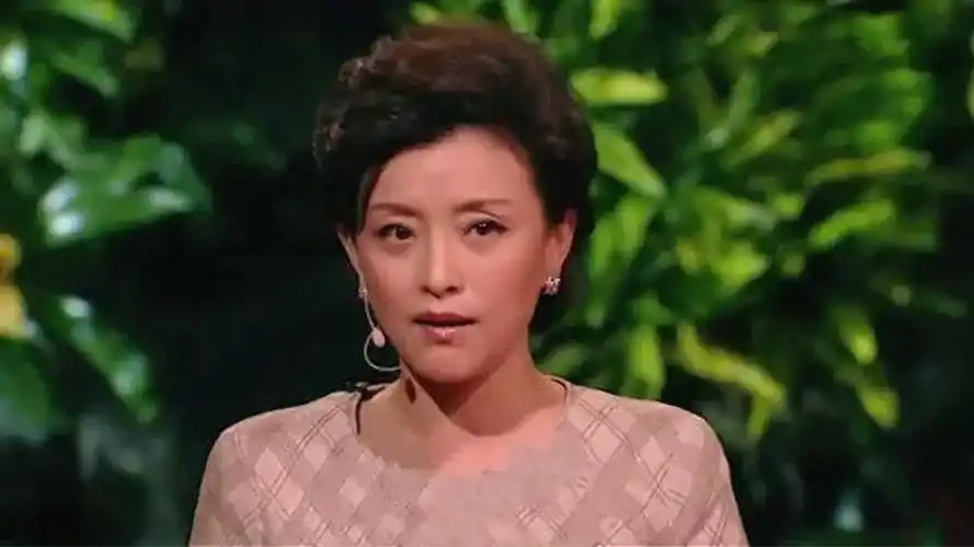 杨澜口才有多好才华横溢自称傻帽ted英文演讲震惊世界