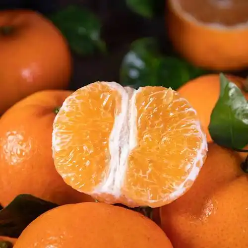 全国包邮果园现摘现发299元抢68元武鸣沃柑大果5斤装约2025个果肉柔软