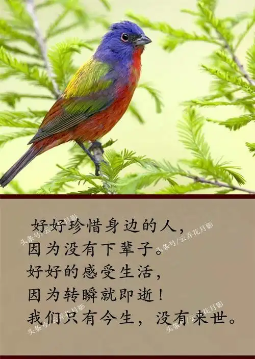 今生,请珍惜身边的人,因为没有下辈子