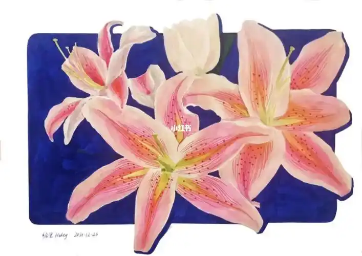 马克笔手绘百合花