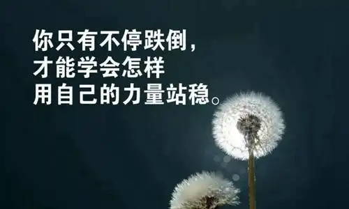 正能量的句子经典语句给自己加油打气的一句话