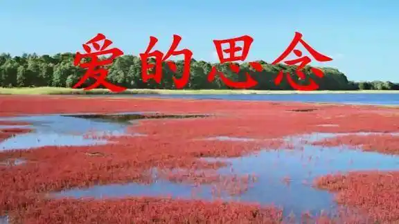 央金兰泽一首爱的思念超好听