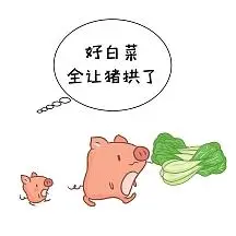 白菜让猪拱了卡通手绘风纯色生活娱乐表情包