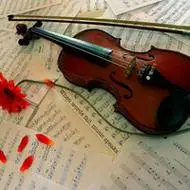 小提琴唯美头像