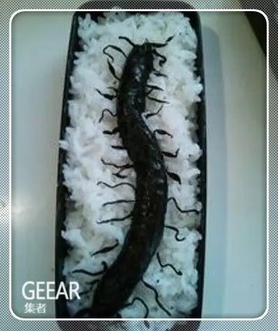 恶心到让人吃不下的恐怖便当,你要敢吃我就管够!