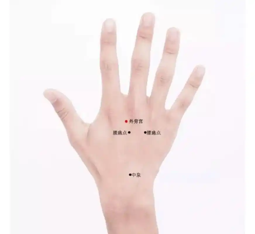 【每日一穴】外劳宫穴:属经外奇穴;主治:落枕, 【每日一穴】外劳宫穴