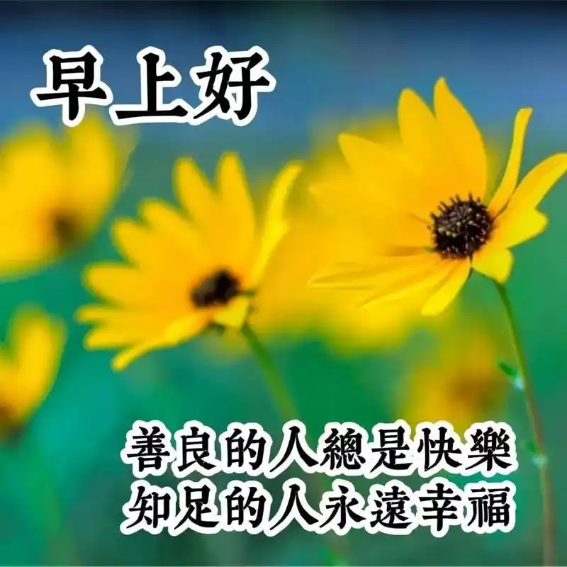 周四清晨问候朋友早上好的暖心祝福,朋友圈素材最美早晨好群发动态美