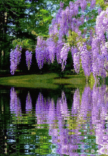 530_763竖版 竖屏gif 动态图 动图