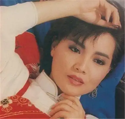 图龙飘飘个人资料大公开其有一副被称为龙腔的歌喉