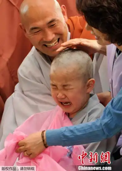 泰国小和尚不愿出家: 紧抱父亲大腿嚎啕大哭