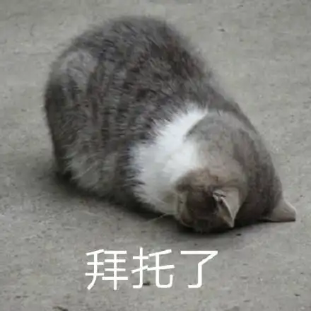 我才不要在你这做一个委屈鬼权律二撒娇娇动图表情包权律二表情