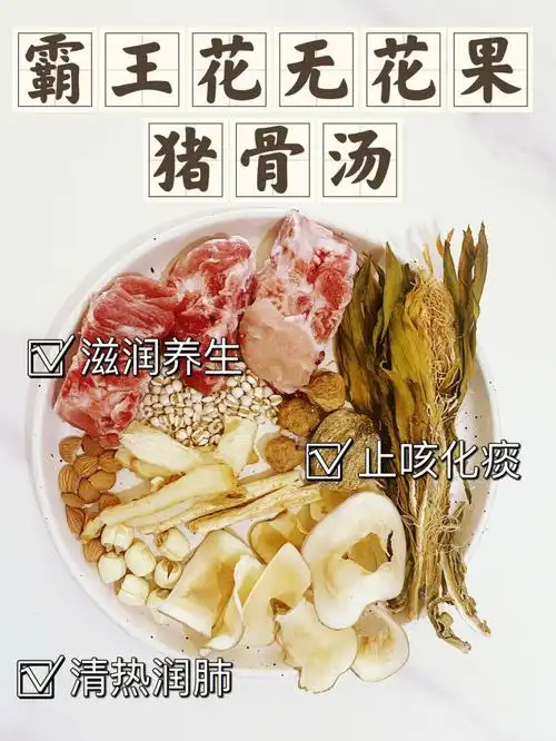 广东人的日常煲汤清热润肺降火汤