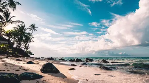 如果大海可以带走我的忧愁,鲜花背景-回车桌面