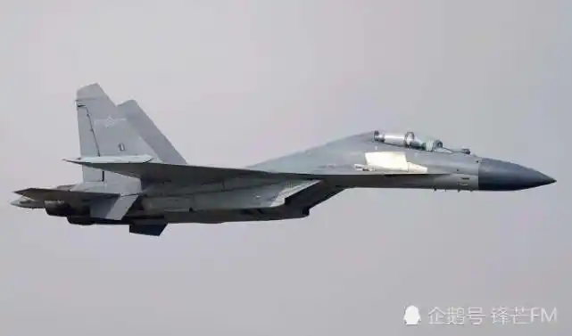 歼16机身补丁大煞风景为何不能取消取消后机炮就不敢开了