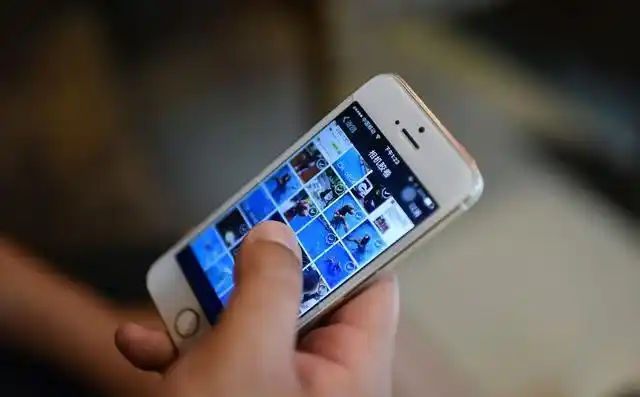 你手机保存了各种证件照吗?