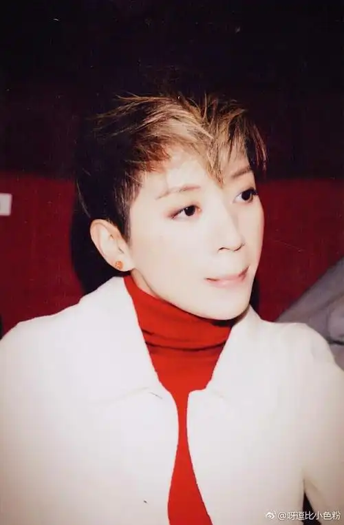 你们都收藏了哪些梅艳芳的图片