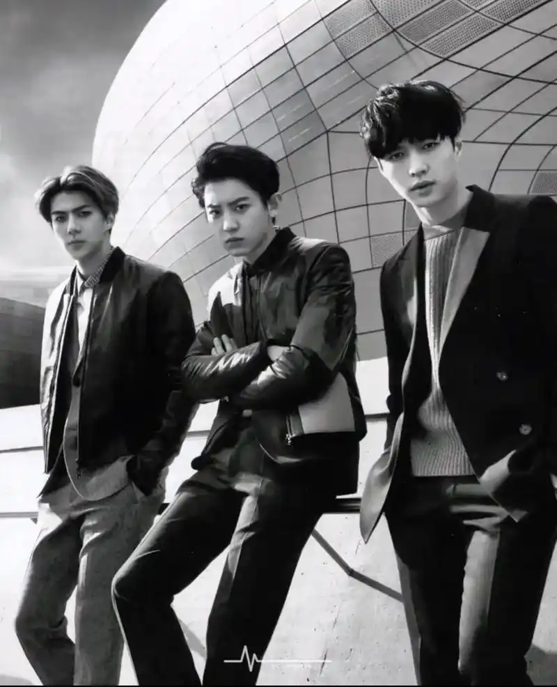 我怀旧的风,又吹回了当年夭折的ysl小分队#朴灿烈 #吴世勋 - 抖音