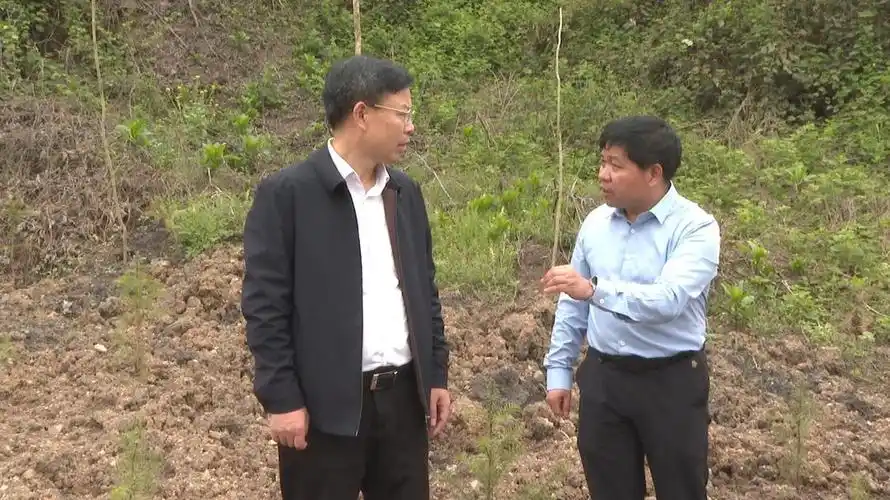 吴韬督导省生态环境保护督察信访交办件整改工作_ 洞口县_ 邵阳市人民