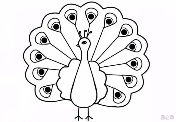 孔雀怎么画简笔画 美丽的孔雀怎么画简笔画