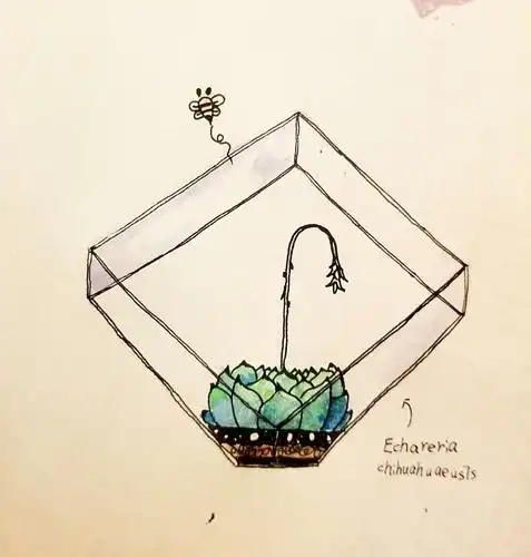 画在日记本里的小插画