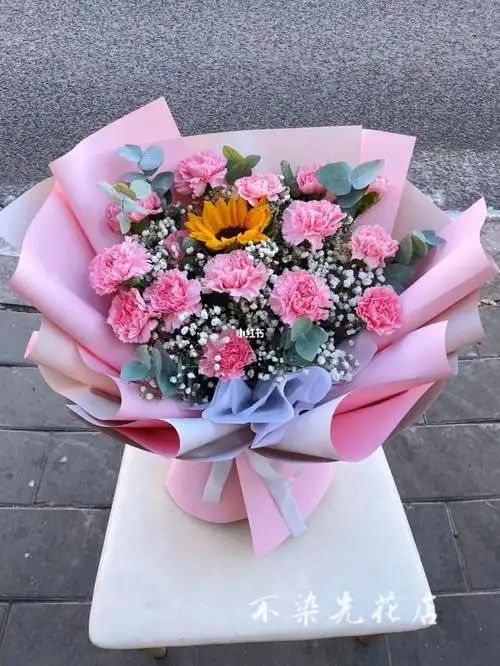 送妈妈的康乃馨花束
