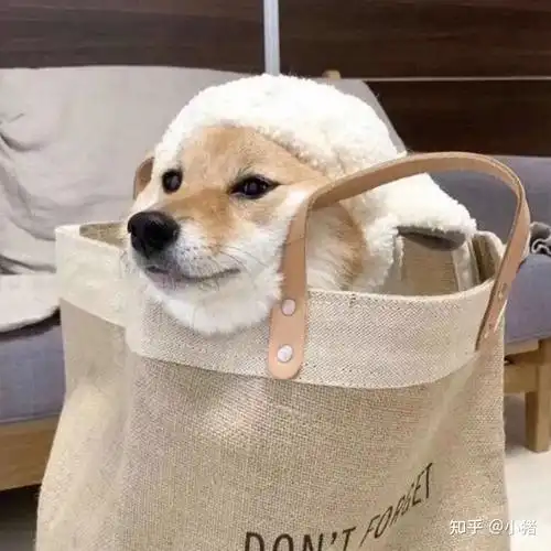 逗比沙雕头像大全(100张)_搞笑头像 - 知乎