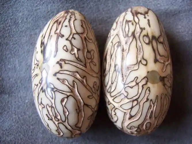 长春千眼菩提子批发【地摊暴利】