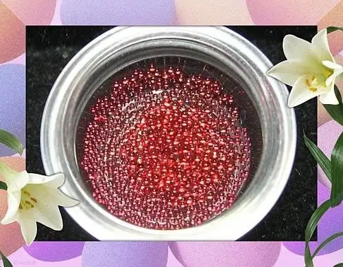 殊胜庄严的真品舍利(释迦牟尼佛真品血舍利)