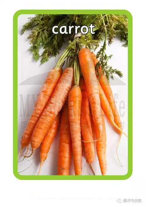 carrot 胡萝卜
