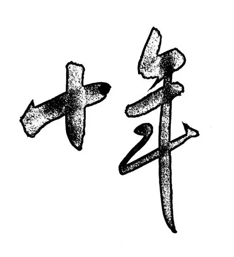 十年|平面|字体/字形|tiger手书 - 原创作品 - 站酷 (zcool)