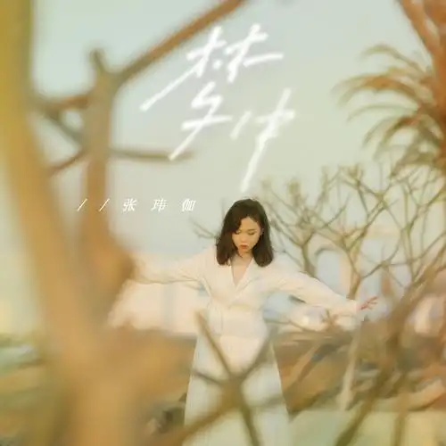 张玮伽最新单曲梦中把梦讲给月光听