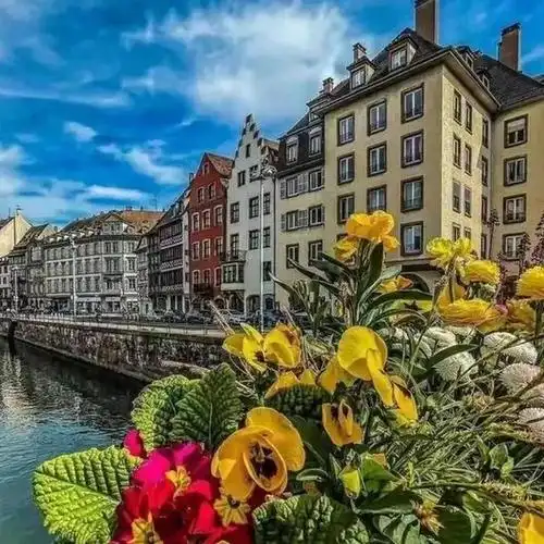 30张微信头像,有花有草有风景,太好看了