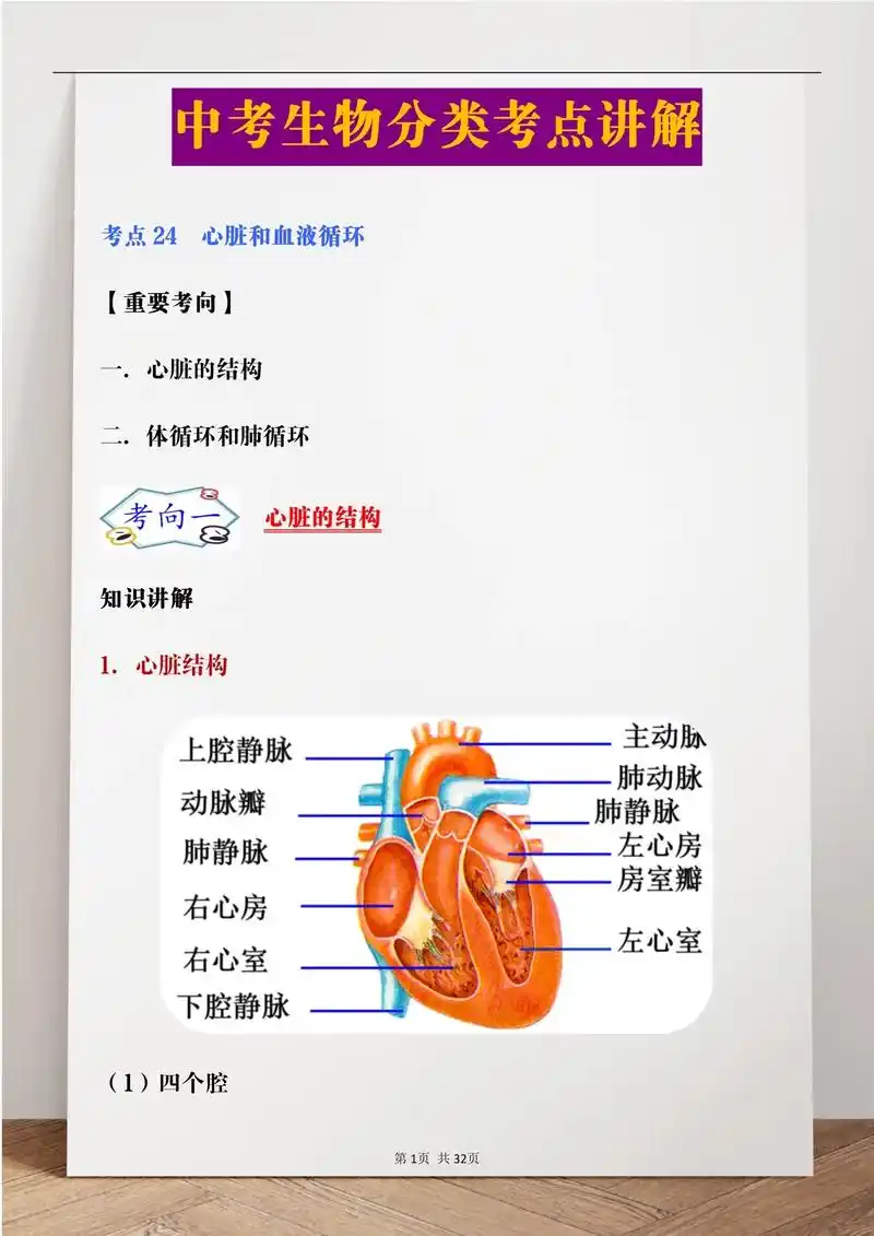 会考生物考点分类|心脏02的结构.心房与心室 区别:心室位于 - 抖音