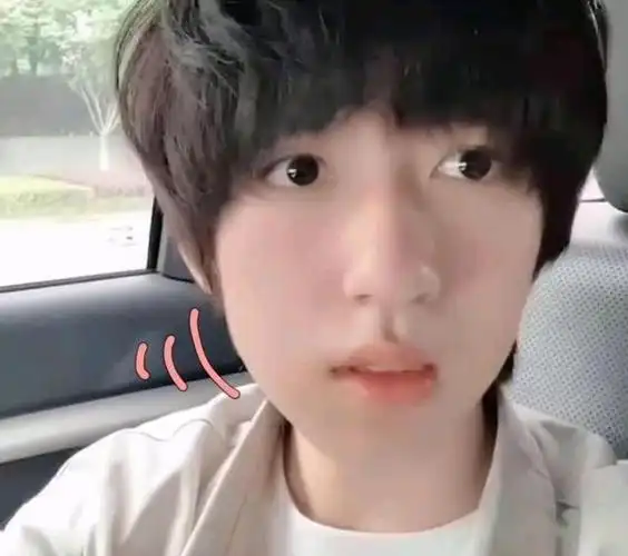 tnt拔智齿等级小宋独自美丽刘耀文看一次笑一次撞脸表情包