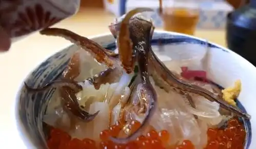 你见过日本人生吃鱿鱼,是什么样的吗?