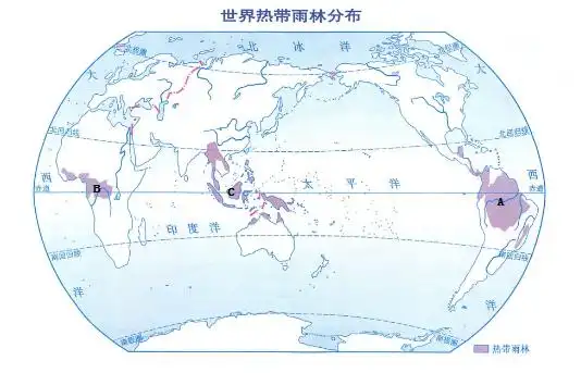 世界热带雨林分布北冰洋f回线 __北回西平洋 赤道赤道:::.