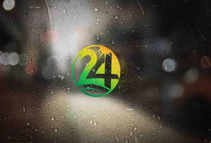 纯数字24logo设计