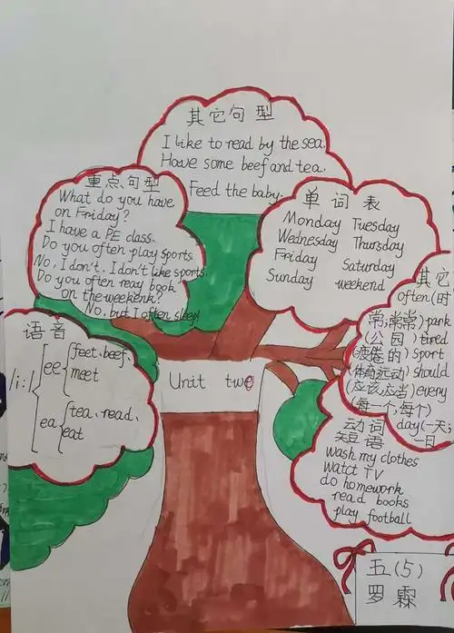 五5班第二单元部分优秀思维导图