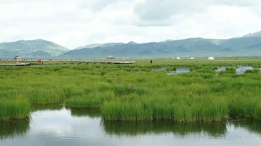 若尔盖花湖景区介绍