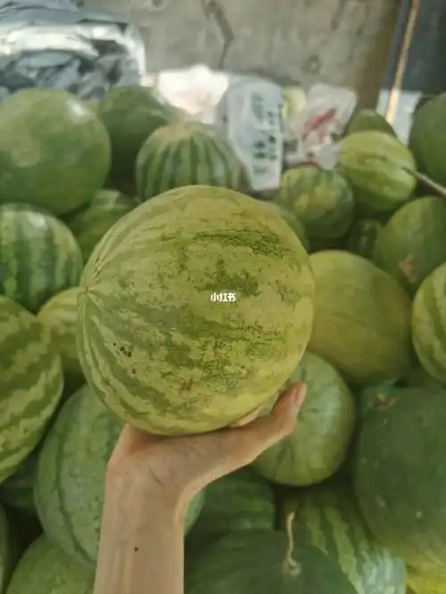 你是没长大就出来打工了嘛在外地多年真的好想念兰州的籽瓜记得以前是