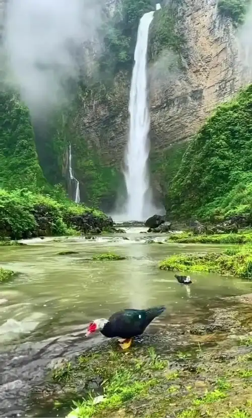 壁纸真实的自然美景图片大全