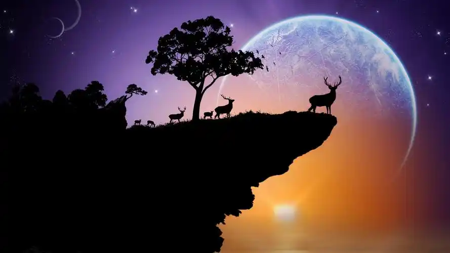 silhouette, deer, planet, sky, stars, trees, r