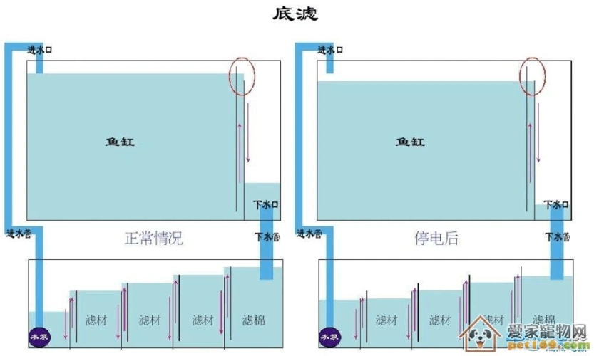 过滤鱼缸是如何工作的