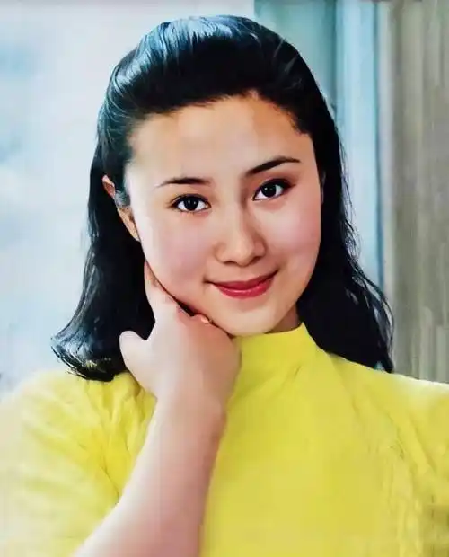 丁岚又被河南省戏曲学校的老师看中,从而进入到该校的演员班学习