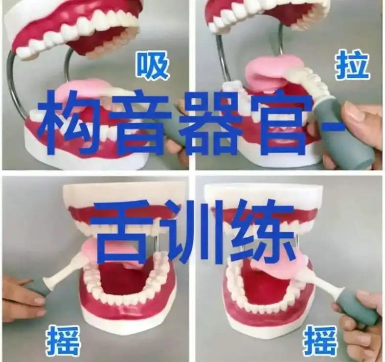 构音器官—舌口部运动训练#构音障碍 #发音不清楚 #口部操  - 抖音