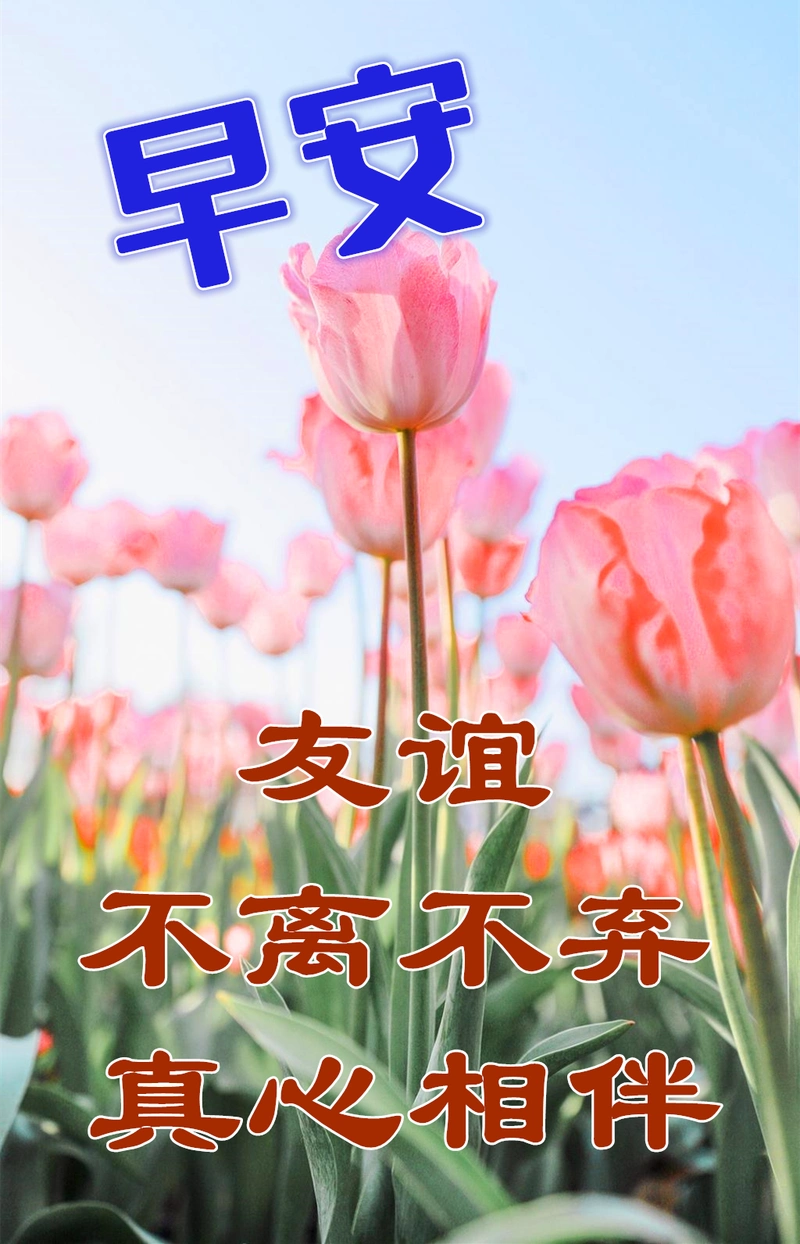 5月25日最漂亮早上好动态表情图片大全早晨好动图美图大全
