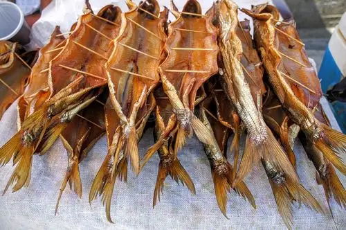 俄罗斯,baikalsee,贝加尔白鲑