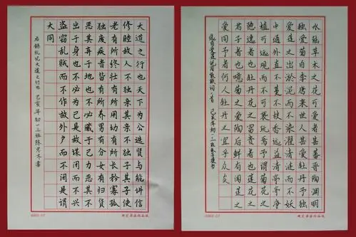 北京师范大学海口附属学校举办"恰同学少年"硬笔书法作品展