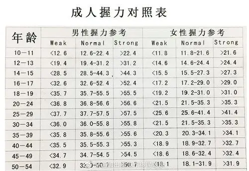 成人握力对照表